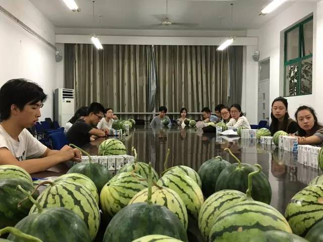 Pihak kampus bagikan semangka gratis. (Foto: Weibo/Zhejiang Normal University)