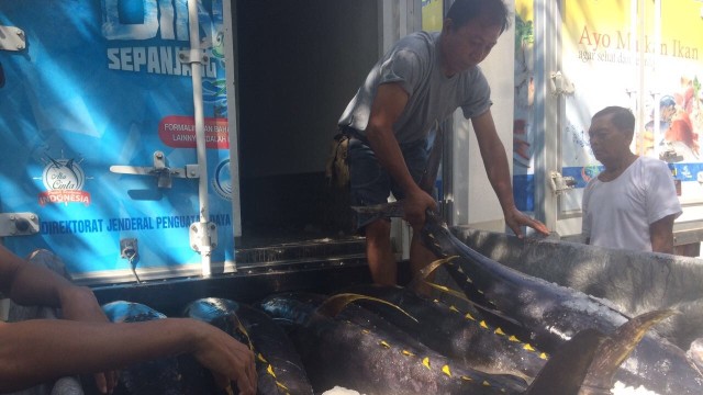 Tuna Sirip Kuning Sangihe, Sulawesi Utara (Foto: Dok. Istimewa)