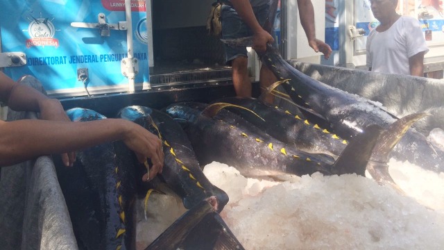 Tangkapan Ikan Tuna Nelayan Desa Dagho di Sulut (Foto: Istimewa)