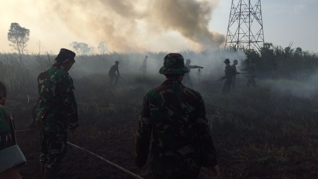 Kebakaran Hutan di Kalimantan. (Foto: Dok. BNPB)