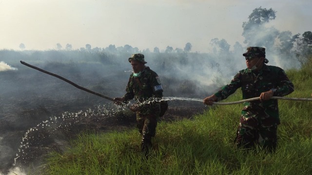 Kebakaran Hutan di Kalimantan (Foto: Dok. BNPB)