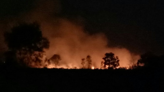 Kebakaran lahan di Sumatra Selatan. (Foto: BNPB)