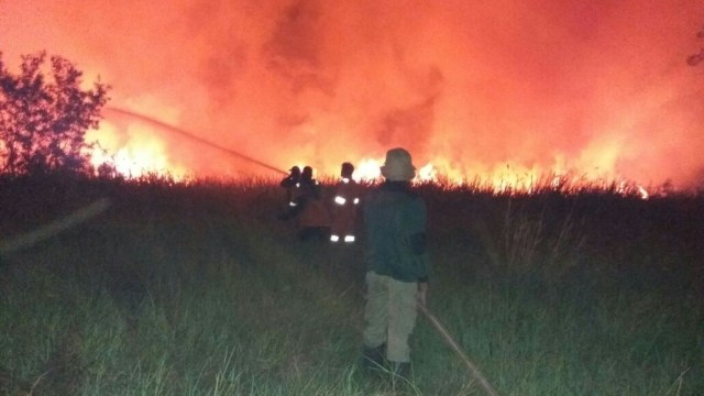 Kebakaran lahan di Sumatra Selatan. (Foto: BNPB)