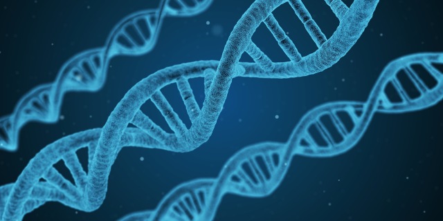 Bentuk DNA yang paling dikenal.  (Foto: Pixabay)