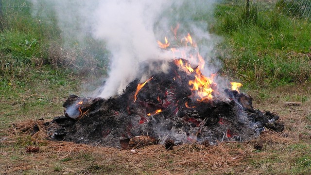 Kenapa Membakar Sampah Berbahaya? 