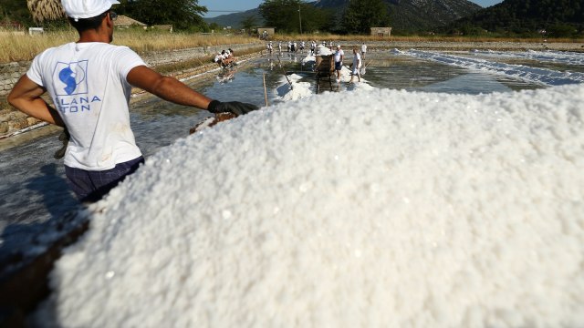 Produksi garam (Foto: Reuters/Antonio Bronic)