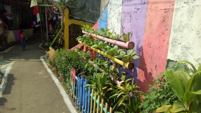 Kampung warna-warni Katulampa Bogor. (Foto: Aprilandika Pratama/kumparan)