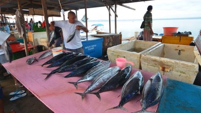 Perikanan hasil laut Saumlaki (Foto: Dok. UPT KKP Saumlaki)