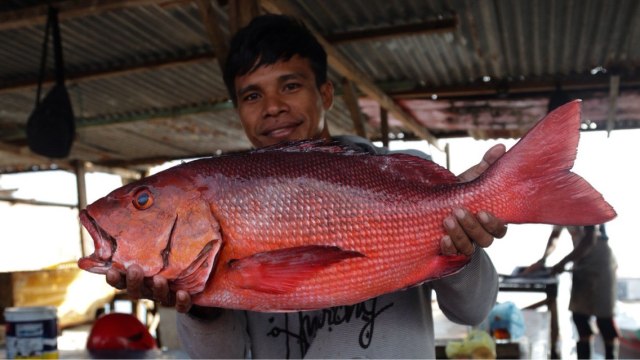 Ikan Kakap Merah di Pasat Olilit, Saumlaki (Foto: Fanny Kusumawardhani/kumparan)