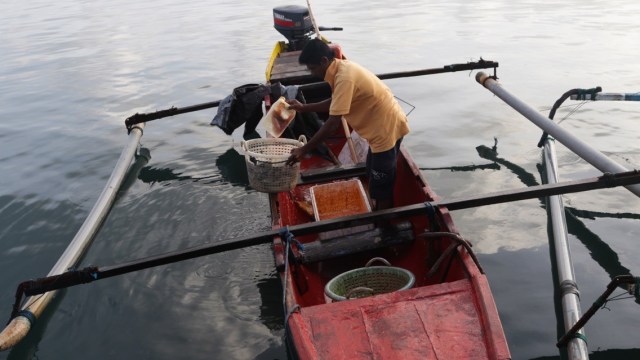 Nelayan Saumlaki usai melaut (Foto: Fanny Kusumawardhani/kumparan)