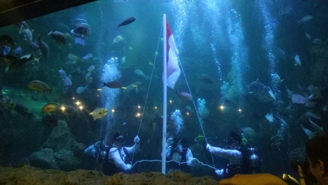 Pengibaran bendera merah putih di Seaworld, Ancol. (Foto: D.N Mustika Sari/kumparan)