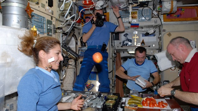 Anousheh Ansari di pesawat luar angkasa. (Foto: Windows on Earth)