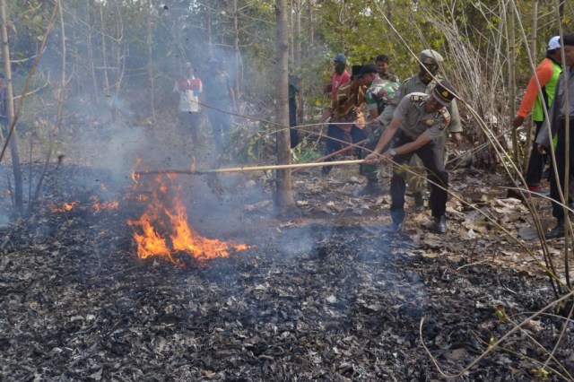 Hutan Jati Sepuhgempol Probolinggo Terbakar