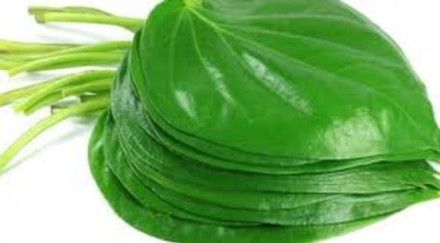 Obat keputihan berwarna hijau (1)