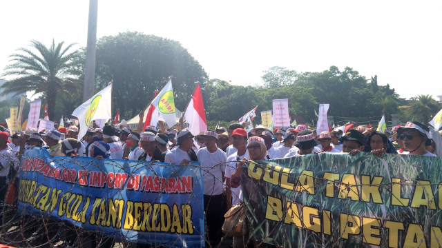 5.000 Petani Tebu Unjuk Rasa di Jakarta (Foto: Kelik Wahyu Nugroho/kumparan)