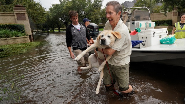 Evakuasi para korban badai harvey (Foto: REUTERS/Rick Wilking)