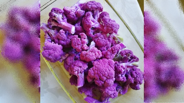 Bunga kol ungu. (Foto: Instagram/cloiesyquia)