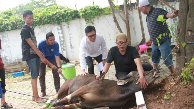 Download 560 Gambar Animasi Penyembelihan Hewan Qurban HD Terbaru Download 560 Gambar Animasi Penyembelihan Hewan Qurban HD Terbaru