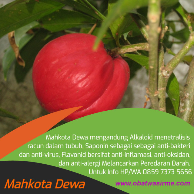 obat wasir yang dimasukkan ke dubur