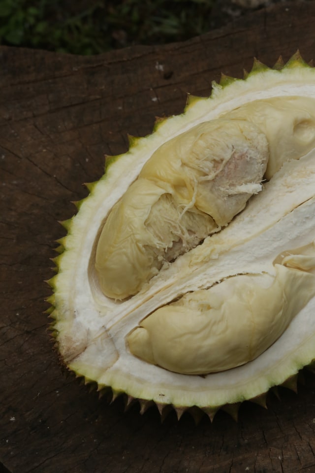 Tabanan, Surga Durian Enak Di Pulau Bali. (2)