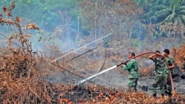 Kebakaran Hutan Riau 2015 (Foto: ANTARA)