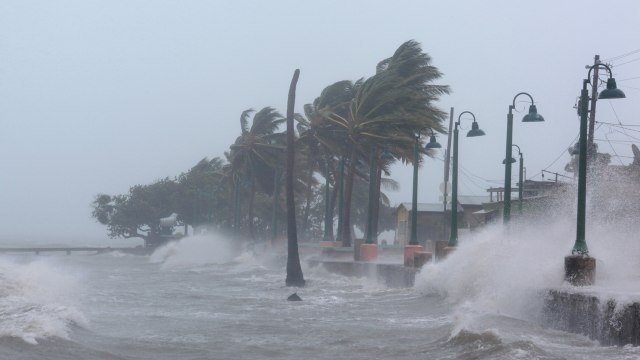 Angin topan Irma (Foto: REUTERS/Alvi)