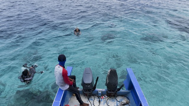 Wajib Dicoba! Ini 12 Spot Snorkeling Terbaik di Indonesia (114424)