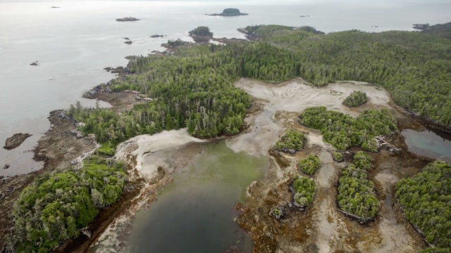 Pulau Triquet (Foto: Grant Callegari/Hakai Institute)