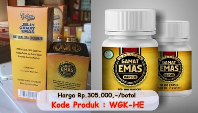 Gamat Emas Kapsul | kumparan.com