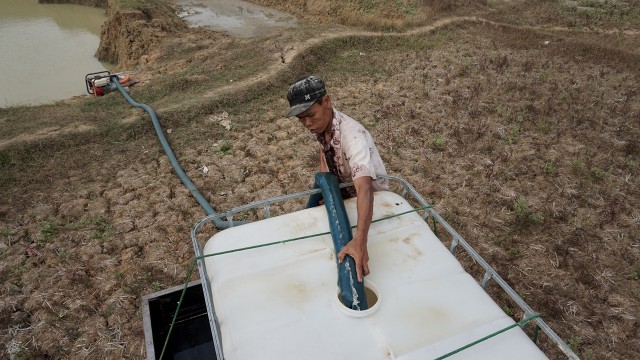 Kekeringan Cibarusah (Foto: Aditia Noviansyah/kumparan)