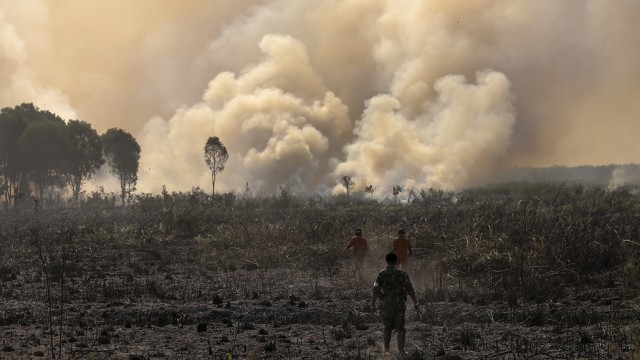 Kebakaran hutan di Ogan Ilir  (Foto: Nova Wahyudi)