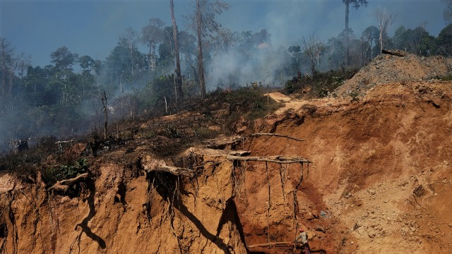 Ilustrasi Pertambangan ilegal di hutan (Foto: REUTERS/Nacho Doce )