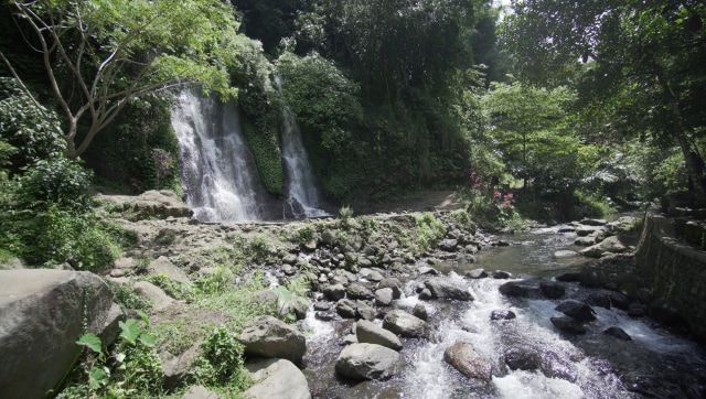 Air Terjun Jagir Banyuwangi (Foto: Nur Sayrifah Sa'diyah/kumparan)