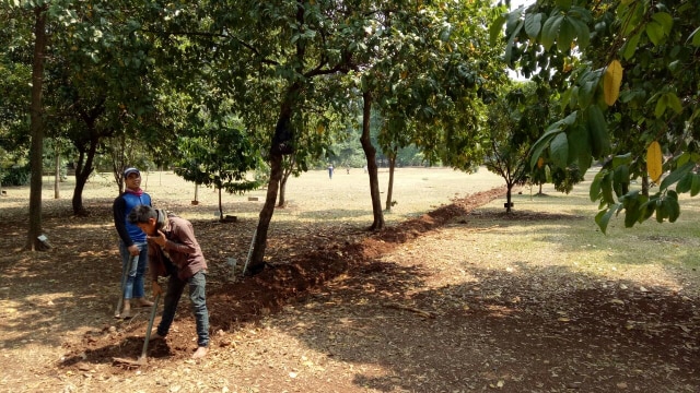 Lokasi rencana pembangunan gedung DPR (Foto: Ferio Pristiawan/kumparan)