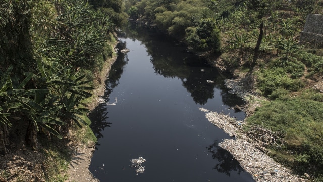 Sungai Citarum Tercemar (Foto: ANTARA/M Agung Rajasa)