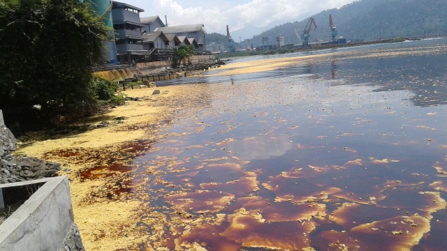 Tumpahan Minyak Kelapa Sawit Cemari Teluk Bayur (Foto: Dok. WALHI Sumbar)