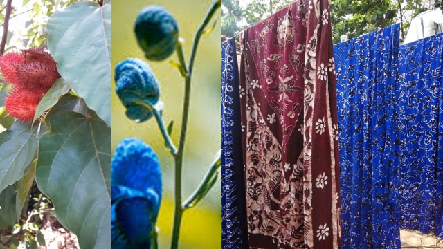 Pewarna alami Indigo, Bixa, dan kain batik gedog (Foto: Fajar Ciptandi/fxhere)