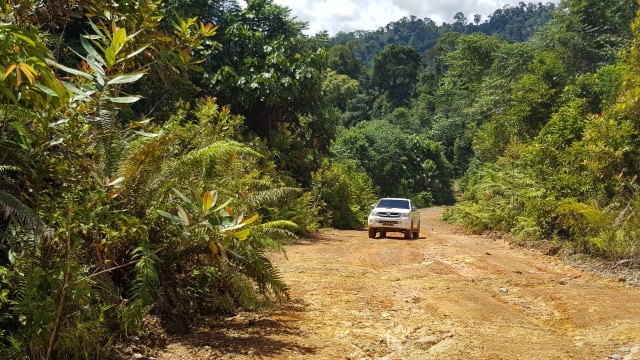 Ruas jalan di Kalimantan Utara. (Foto: Dok. PUPR)