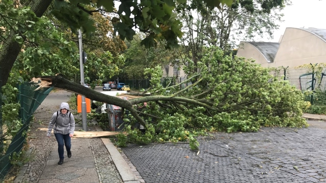 Badai di Berlin (Foto: Reuters/Pawel Kopczynski)