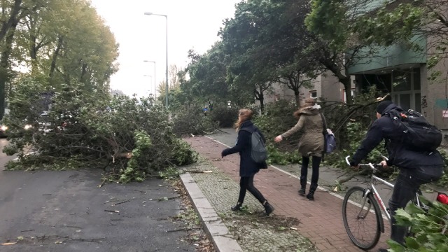 Badai di Berlin (Foto: Reuters/Pawel Kopczynski)