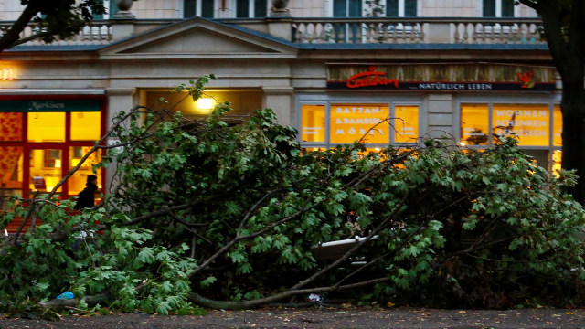 Badai di Berlin (Foto: REUTERS/Hannibal Hanschke)