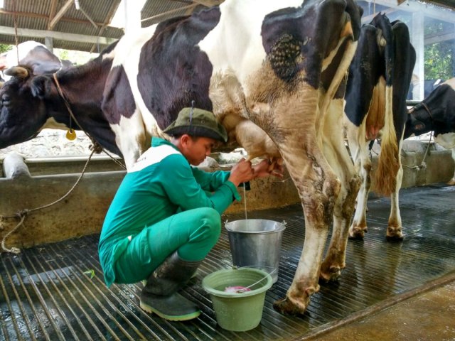 Siswa SMK Peternakan Juara MTT Magang di RnR Farm Syariah