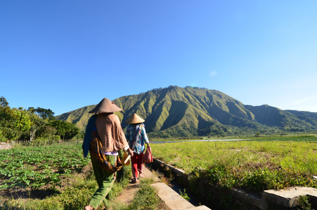 Sembalun, Lombok (Foto: Flickr/Dian Ridya Prastiti)