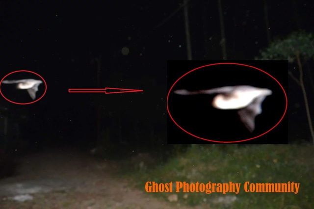 Penampakan selendang terbang (Foto: Dokumentasi Ghost Photography Community)