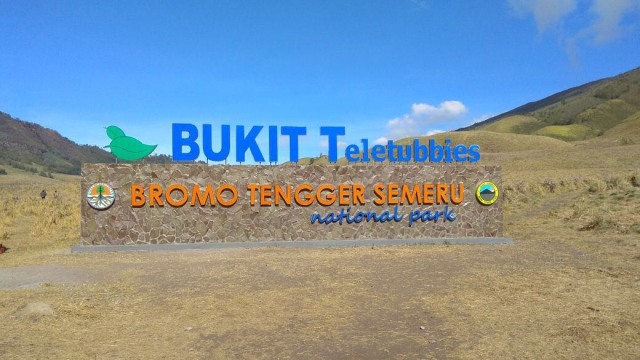 Bukit Teletubbies di Bromo (Foto: Dok. Masyarakat Fotografi Indonesia)