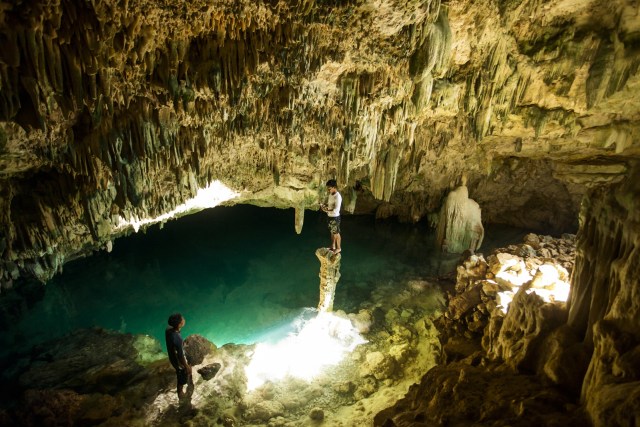 Berwisata ke Taman Nasional Komodo