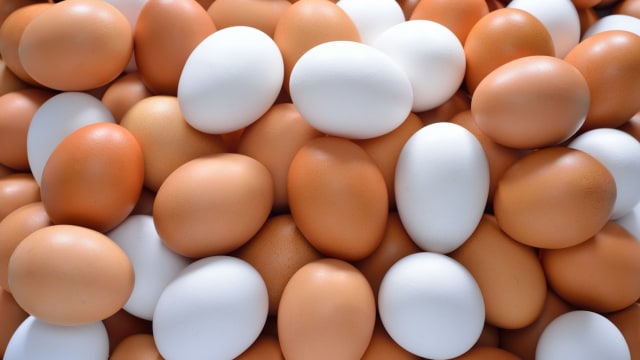 Telur ayam tinggi akan protein (Foto: Thinkstock)
