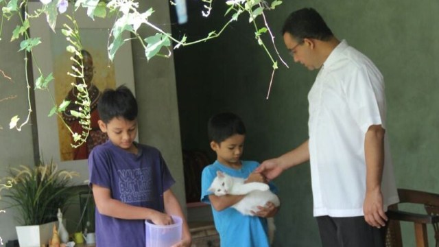 Anies Baswedan, anak-anak, dan kucing (Foto: Instagram/@aniesbaswedan)