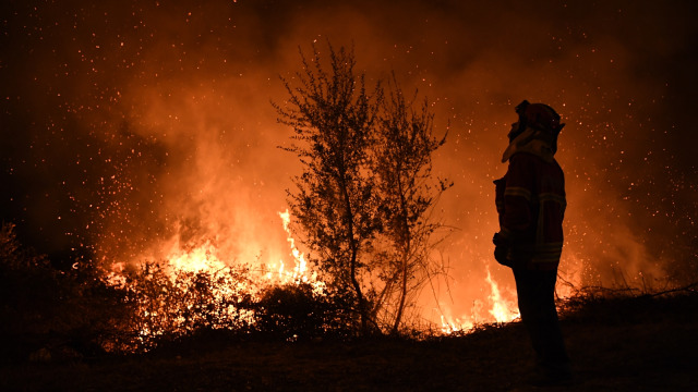 Kebakaran Hutan di Portugal (Foto: Francisco Leong/AFP)