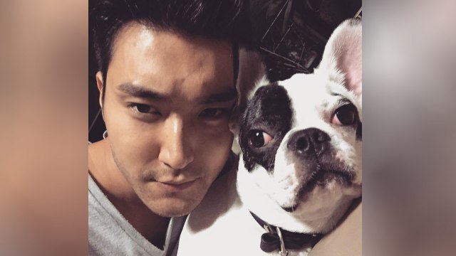 Siwon 'Super Junior' dan anjingnya, Bugsy (Foto: Twitter/@siwonchoi)